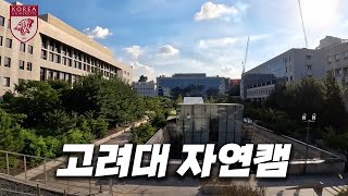 고대 이공대 캠퍼스는 어떤 모습일까? [ 고려대 자연계 캠퍼스 ]