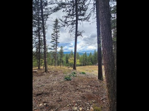 408 Montana View Drive, Seeley Lake, MT home video tour