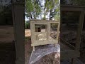 6x8x4ft Dog Kennel for 1-2 dogs