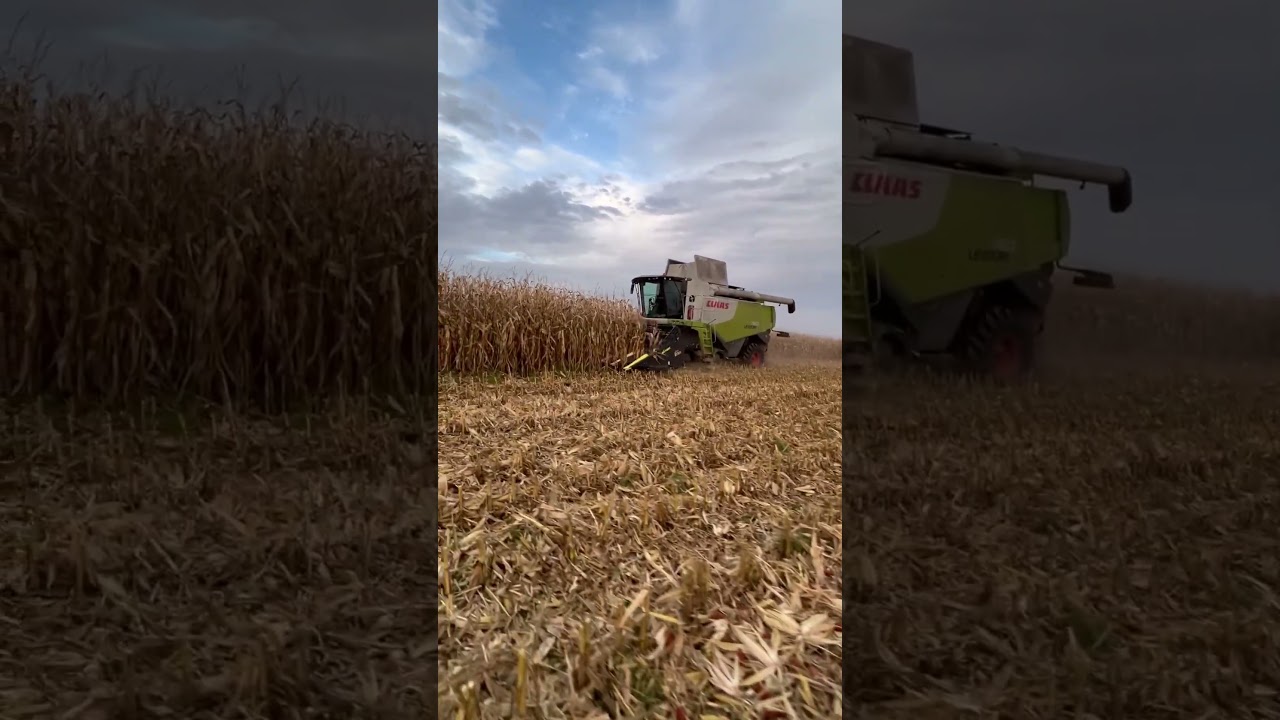 CLAAS Lexion 760 I Olimac Drago GT 💪💪