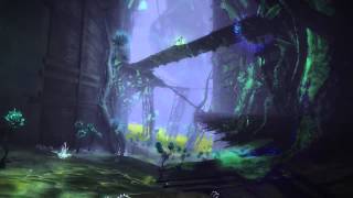 Famous Guild Wars 2 - The Nightmares Within Net Worth