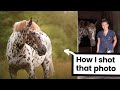 Photography Session with Harley the Pony