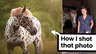 The [Scottish] Horse Photoshoot - Behind the scenes, through the lens view of an equine photograph! screenshot 5