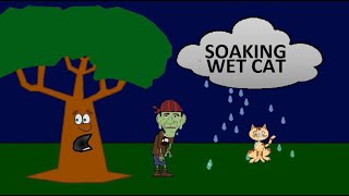 Soaking Wet Cat