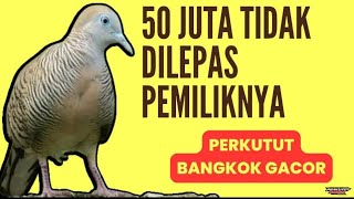 MASTERAN SUARA PERKUTUT BANGKOK JUARA DURASI PANJANG