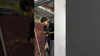 Baku के घर चोर ☠️🦹♂️ #dog #vlog #minivlog #ashortaday