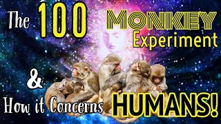 The 100 Monkey Experiment & Why It Concerns HUMANS | Lets Make It To 100 Monkeys! | Wake Up Sheeple!