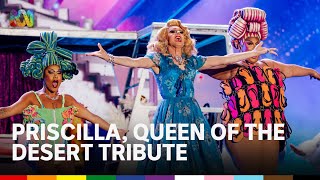 Drag Spectacular - Priscilla, Queen of the Desert Tribute | Live & Proud: Sydney WorldPride Opening