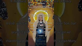 Regina Caeli recited in place of the Angelus during the Easter season #reginacaeli #fyp #pray