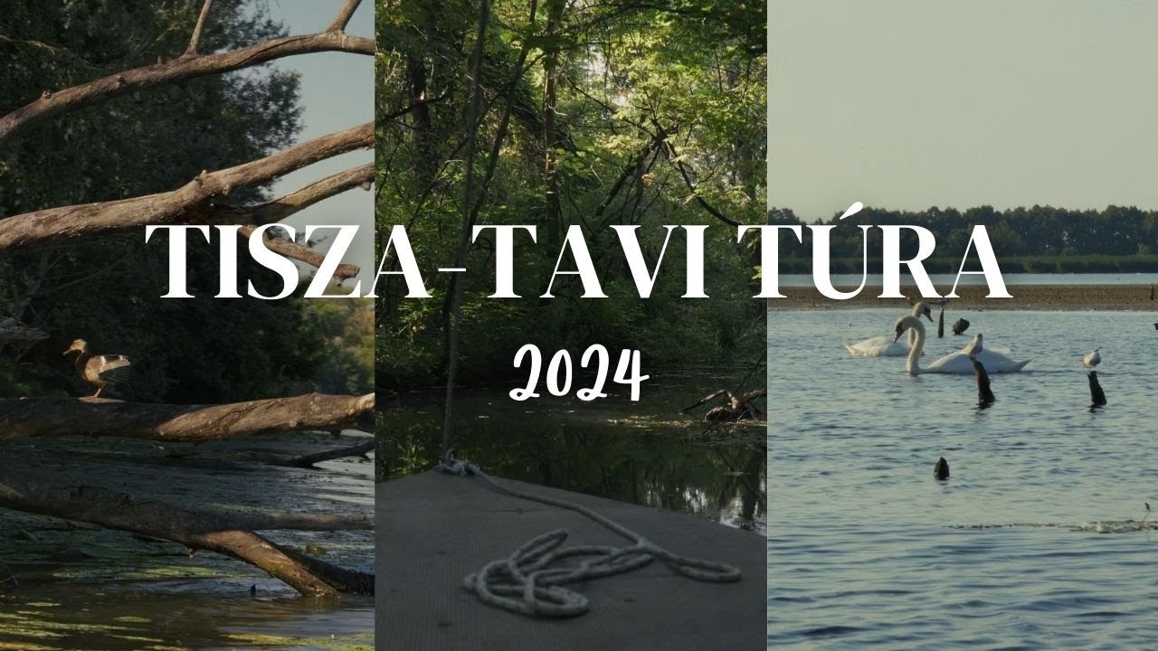 Tisza-tavi túra