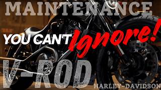 VROD / NIGHT ROD Maintenance You CANNOT Ignore