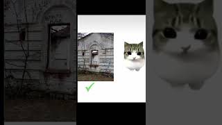 кот оценивает заброшки #memes #мемы #реки #abandoned #abandonedplaces #urbex #cat #заброшка