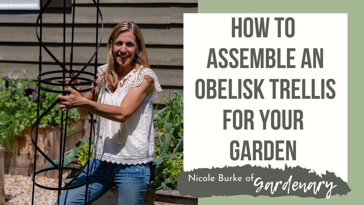 How to Assemble an Obelisk Trellis for Your Garden