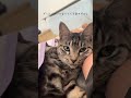 脇こねこねしないでよ#shorts