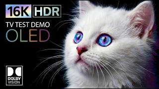 This Is the BEST OLED HDR Test You’ll Ever See 🤯 16K 240FPS Dolby Vision