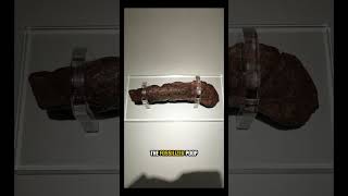 The Most Famous Viking Artifact Is Actually Poop 💩😳