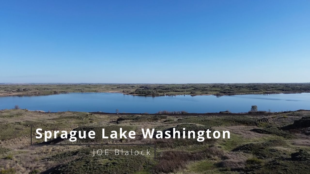 Have Drone Will Travel - Sprague Lake Washington