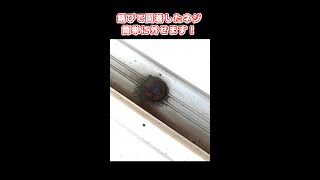 ネジ山が無いネジ簡単に外せます #shorts