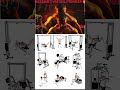 Full Body Workout at Home Equipment | Burn Fat & Build Muscle Fast #FullBodyWorkout #HomeWorkout
