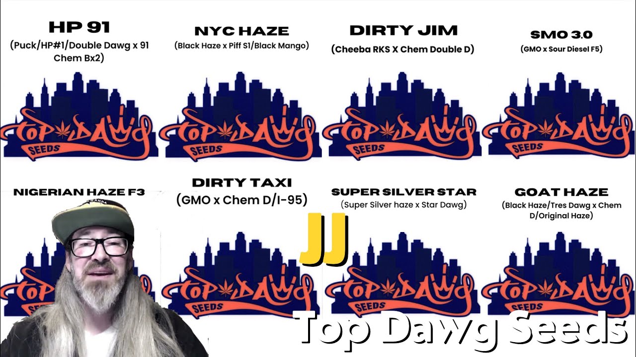 JJ of Top Dawg Seeds w/ Chad Westport : Spider Farmer SF4000 Samsung LM301H EVO Light