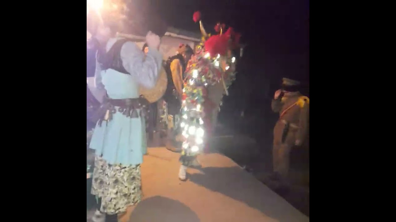 boul din sinesti 2023