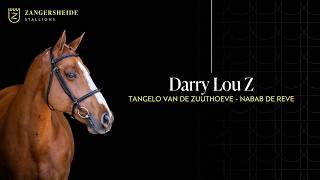 Darry Lou Z-Zangersheide Hengstenpresentatie 2026 ( NL )