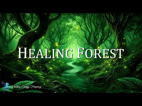 HEALING FOREST AMBIENCE | 369Hz + 639Hz Cleans the Aura and Space | Attract Prosperity, Love &amp; Luck