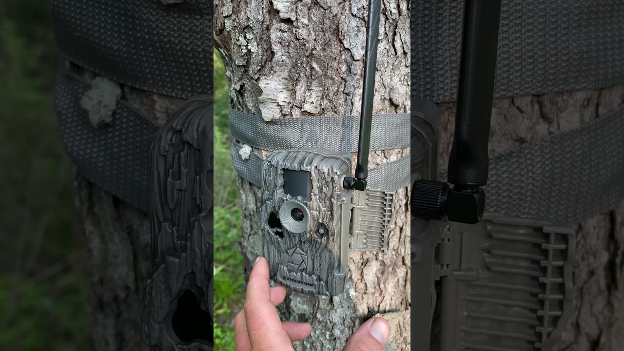 Trail cameras that send pictures to your phone! 2021