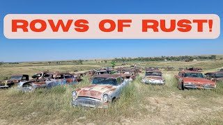 He bought an ENTIRE junkyard & moved it to his farm in 1972! HUNDREDS of antique cars & old trucks!