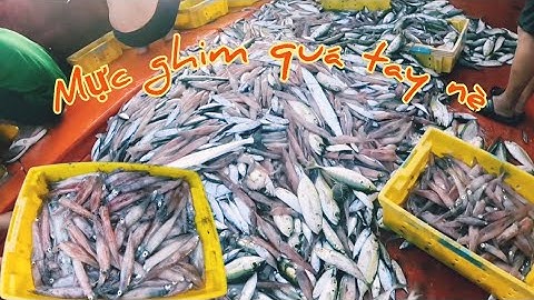 Mành lưới 2 trong đêm được bầy mực ghim lớn | Đánh cá 2024 - Tập 48 | Sóng biển Hứa Đông