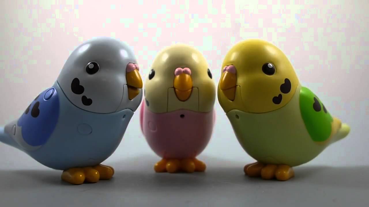 まねっこピーちゃんトリオ Youtube