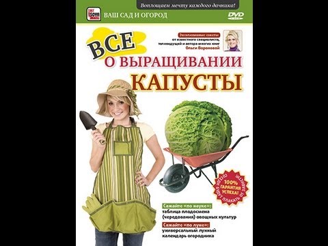 Ваш сад и огород: ВСЕ О ВЫРАЩИВАНИИ КАПУСТЫ.