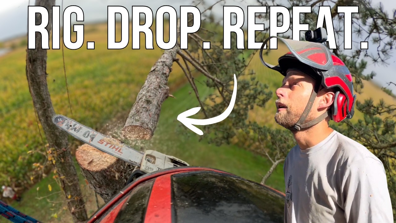 Insane Tree Work Compilation | Technical Rigging, Climbing & Full-Tree ...