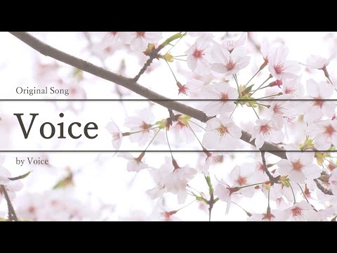 オリジナルソング「Voice」 music and words by Voice