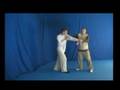 Dr marcus brinkman bagua instructional clip  5  fan