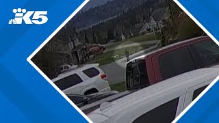 Celebrity Family clings to hope as officials suspend search for missing Arlington man Net Worth