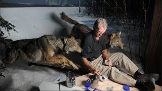 Updating the 'Moon Shadow' in Wolf Diorama