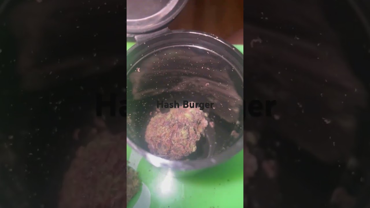 Hash Burger Cannabis Strain  