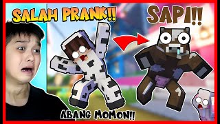 SALAH PRANK !! ABANG MOMON BERUBAH MENJADI SAPI BENERAN !! Feat @sapipurba Minecraft