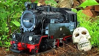 G Scale Train Newqida LGB 6 Month Chernobyl Urban Decay Effects