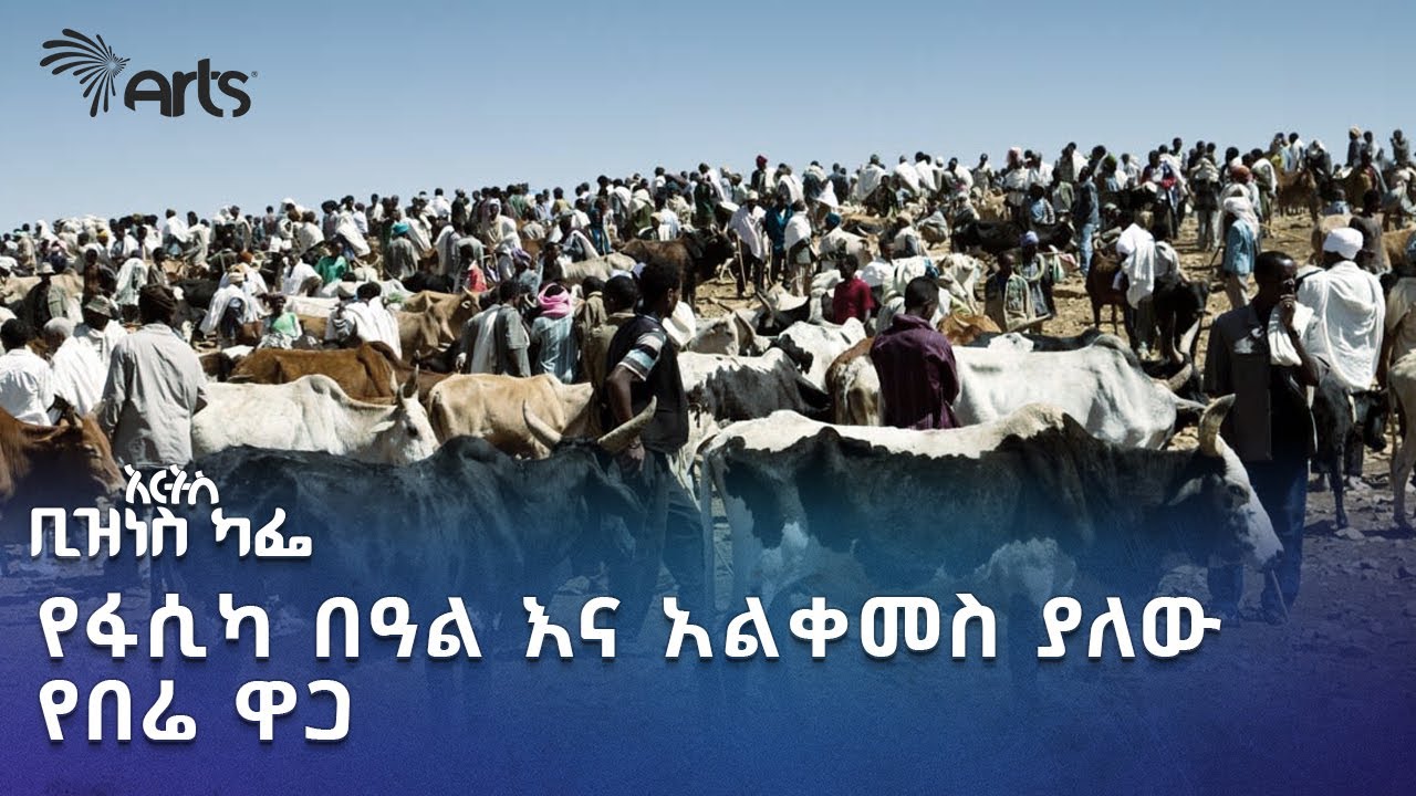 የአዲስ አበባ ገበያዎች ለበዓሉ ምን ይዘዋል? የዋጋውስ ጉዳይ? | አርትስ ቢዝነስ ካፌ @ArtsTvWorld