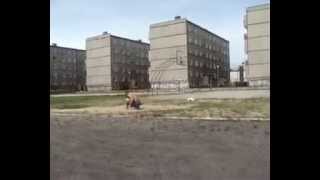 MassiveMedia: Doubleflips compilation