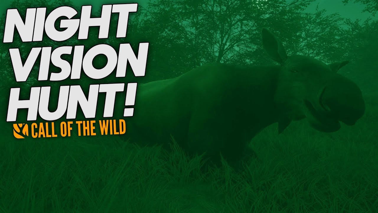Epic Night Vision Hunt! theHunter Call Of The Wild YouTube
