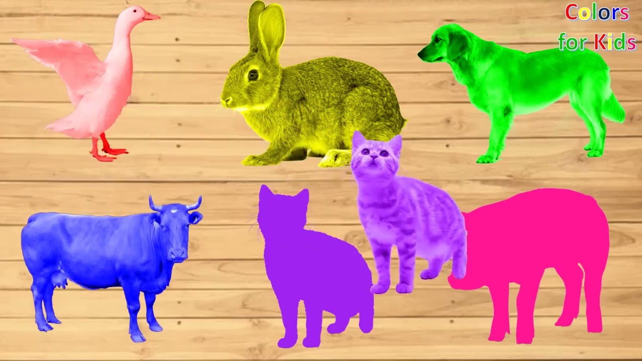 Farm Animals Bathing Colors Fun   Learn Colors for Children Kids Toddlers To Learn With Animals 1080