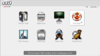 ABAP Auto Save: Salt SAP Change Intelligence Software: Life Saver application screenshot 3