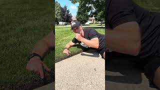 Here is How My Lawn Edge Looks After Rolling it Two Months Ago
Here is How My Lawn Edge Looks After Rolling it Two Months Ago
👉BUY THE LAWN ROLLER HERE: https://amzn.to/4ekyvfV
👉BUY FROM LOWES HERE: https://shoplowes.me/466SCeF
👉BUY FROM MAINSTREET MOWER HERE: https://www.mainstreetmower.com?sca_ref=11987025.4eHaSizIZBq
👉BUY BRUNT HERE: https://www.gopjn.com/t/2-529834-376103-289744
👉BUY MY 12 VIDEO RUSTPROOFING COURSE HERE: https://garagegearjb.etsy.com/listing/1578902799
CONTACT INFO:
EMAIL: garagegearjb@gmail.com
INSTAGRAM: garagegearjb
FACEBOOK: https://www.facebook.com/share/1HCZk6BBJb/?mibextid=wwXIfr
TIKTOK: Garagegearjb
SUPPORT THE CHANNEL or help me take the GARAGE GAL out to dinner!
https://paypal.me/garagegear?country.x=US&locale.x=en_US
Thank you for supporting the channel!
GARAGE GEAR AMAZON STORE
https://www.amazon.com/shop/garagegear
ETSY GARAGE GEAR MERCH: https://garagegearjb.etsy.com
WATCH THESE NEXT:
RUSTPROOFING YOUR SNOWBLOWER - Full Course
https://youtu.be/voqAWkjNd6w?si=6ddN_np2TFosRkVs
Can Seafoam Fix This Rough Running Mower?
https://youtu.be/PAhP70Dgmn4
$125 Toro Super Recycler Revival – First Wash & Inspection (What Did I Buy?)
https://youtu.be/J4aYp4_RpRc
Honda Is Done Making Gas Lawn Mowers… Here’s What To Buy Instead
https://youtu.be/X1JakRcyOqE
CHEAP Craftsman Lawn Mowers (Hidden GEMS or JUNK?)
https://youtu.be/qGR4olCYuWA
HONDA HRN216 VS HONDA HRX217 - WHICH LAWN MOWER SHOULD YOU BUY?
https://youtu.be/mHrzuQt2hFs
HOW TO EDGE GARDEN AND LANDSCAPE BEDS WITH A SHOVEL - Quick & Easy!
https://youtu.be/NPH5vd5q-RA
Kill Weeds, Not Your Lawn! Cheap, Easy And Effective Mix With A Magic Ingredient!
https://youtu.be/jTKOXsJbhv8
PROJECT LAWN 2020 - Growing Grass From Seed, Killing Weeds And Leveling The Lawn
https://youtu.be/pLVXC68HcbQ
SPRING STARTER FERTILIZER - BEST Way To A THICK GREEN LAWN FAST!
https://youtu.be/iDhcZipivx0
GARAGE GEAR LAWN CARE LINE UP (Spring Haul 2024)
https://studio.youtube.com/video/eNx2vIRH8Fk/edit
BEFORE YOU BUY AN ECHO PE225 LAWN EDGER, WATCH THIS!
https://youtu.be/oeDs8L-nayw
HOW TO GET RID OF BENTGRASS IN YOUR LAWN FOR BEGINNERS
https://www.youtube.com/watch?v=eFks99jL8Tw&t=334s
THE FASTEST WAY TO PROTECT YOUR SNOWBLOWER IN BETWEEN USES
https://youtu.be/ZAam60xnq9A
BEFORE YOU BUY A 2-STAGE GAS SNOWBLOWER AT HOME DEPOT IN 2024, WATCH THIS! (Avoid This One)
https://studio.youtube.com/video/Q9vQHQEL1ZI/edit
ARIENS PROFESSIONAL 32 vs CUB CADET 3X 30 HD SNOWBLOWER - SUBSCRIBER CHALLENGE (Throwing Test)
https://youtu.be/zn9Grqxo_ZM
THROW HEAVY WET CURB SNOW FARTHER WITH AN ARIENS DELUXE 24 SNOWBLOWER
https://youtu.be/rnVWxLTIig4
BEFORE YOU BUY A SNOWBLOWER FROM A LOCAL DEALER IN 2024, WATCH THIS! (9th Largest Ariens Dealer)
https://youtu.be/wC8bSDfhcQ8
SNOWBLOWERS TO LOOK FOR AT LOWES IN 2024 (And Ones To AVOID)
https://youtu.be/2OQ5oszgNpc
BEFORE YOU BUY AN ARIENS PROFESSIONAL 32 SNOWBLOWER, WATCH THIS!
https://youtu.be/o30DmPdX-Ik
HOW TO LUBRICATE AN AUGER GEARBOX ON A CRAFTSMAN, MTD OR CUB CADET SNOWBLOWER (Without A Drain Plug)
https://youtu.be/16gxSP2p_xs
ARE BATTERY POWERED SNOWBLOWERS MAINTENANCE-FREE? https://youtu.be/bbbcUBjI8jw
HOW TO MAKE YOUR SNOWBLOWER UNSTOPPABLE WITH AN IMPELLER KIT https://youtu.be/r B3hnLCQc
Is A 50 YEAR OLD ARIENS for $100 BETTER Than Any NEW Snowblower? https://youtu.be/1JdBHyMwrW4
HOW TO REPLACE A LEAKING FUEL SHUT OFF VALVE ON AN ARIENS SNOWBLOWER https://youtu.be/UTVHmM5L2Cs
HOW TO LUBRICATE DRIVE AXLES ON A SNOWBLOWER (Avoid Issues)https://youtu.be/MnCPh2heaCQ
HOW TO BREAK IN AN ARIENS SNOWBLOWER ENGINE FOR BEGINNERS https://youtu.be/jb0x3YJmxvY
JB and Garage Gear do not own the rights to the additional photos and clips used in this video.
Disclaimer:
Due to factors beyond the control of Garage Gear, I cannot guarantee against improper use or unauthorized modifications of this information. Garage Gear assumes no liability for property damage or injury incurred as a result of any of the information contained in this video. Use this information at your own risk. Garage Gear recommends safe practices when working on machines and or with tools seen or implied in this video. Due to factors beyond the control of Garage Gear, no information contained in this video shall create any expressed or implied warranty or guarantee of any particular result. Any injury, damage, or loss that may result from improper use of these tools, equipment, or from the information contained in this video is the sole responsibility of the user and not Garage Gear.
JB from Garage Gear is a member of the Amazon Affiliate Program and may receive a commissions on select purchases. These commissions do not influence the prices you pay on Amazon. Thank You for supporting Garage Gear!
#garagegear #lawncare #lawncaretips Here is How My Lawn Edge Looks After Rolling it Two Months Ago