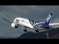 Wings of ANA Group - ANAグループの翼たち - [ANA/全日空 旅客機図鑑]