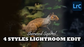 Sherwood Squirrel 4 Styles Lightroom Edit screenshot 5
