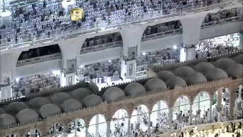 تلاوة الأعلى والكافرون والأخلاص للشيخ خالد الغامدي