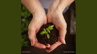 The Seeds We Sow